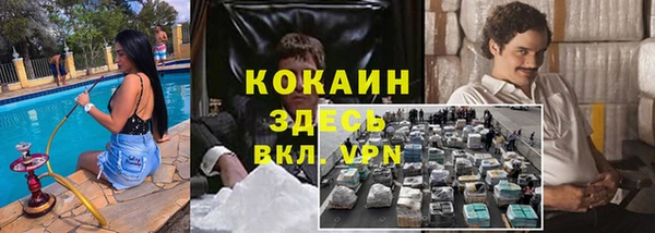 ешки Алексин