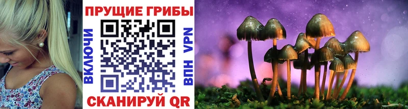 Псилоцибиновые грибы Psilocybe  Котовск 