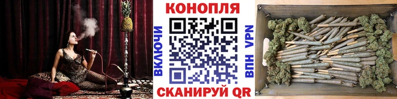 Бошки Шишки план Котовск